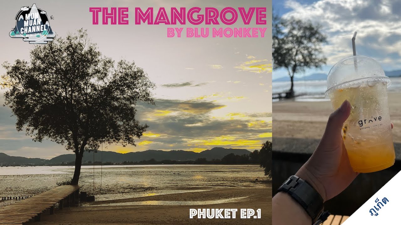 MANGROVE BY BLU MONKEY (THE)