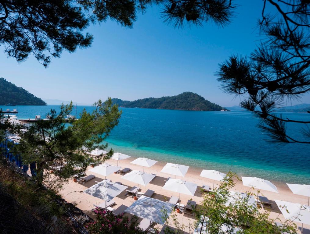 D RESORT GOCEK